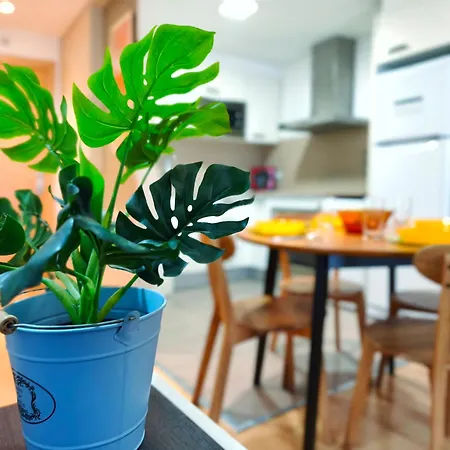 Lugar Perfecto En El Casco Antiguo De Apartamento Girona