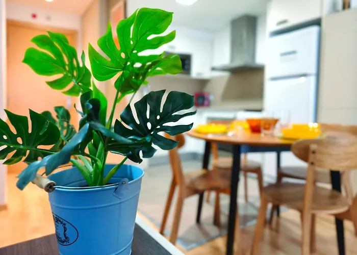 Lugar Perfecto En El Casco Antiguo De Apartamento Girona