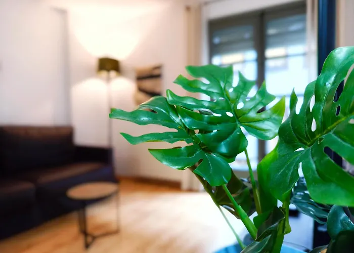 Lugar Perfecto En El Casco Antiguo De Girona